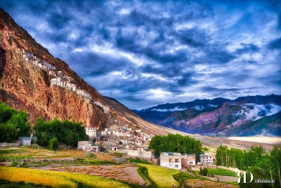 Pangong – Leh 